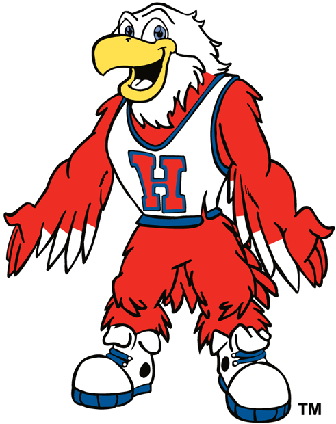 hartford hawks 1984-pres mascot logo iron on transfers for T-shirts fabric transfer 2